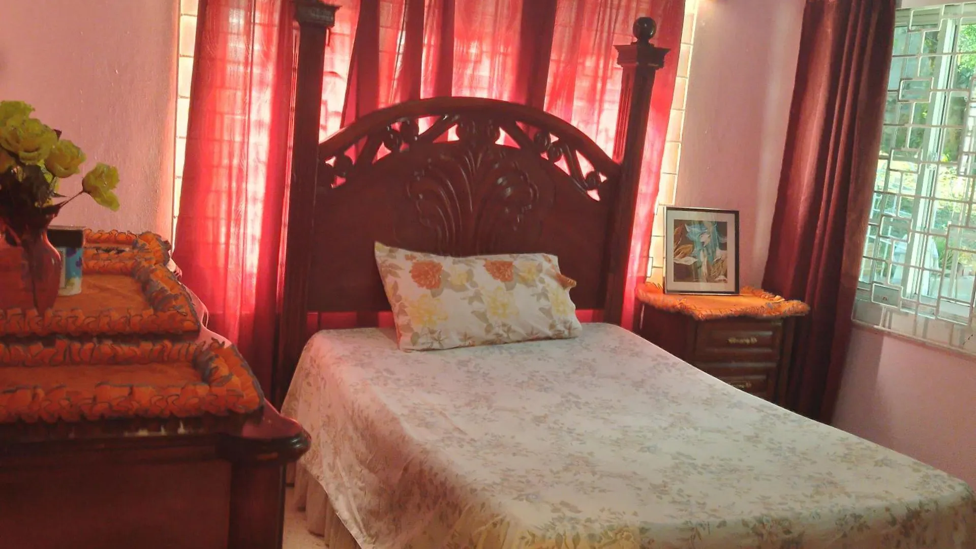 Mango Walk Homestay Montego Bay Jamaica
